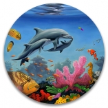 15825 Dolphin Family  